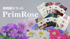 期間限定セット PrimRose